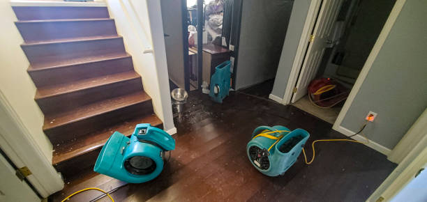 Best Flood damage cleanup  in Newport News, VA
