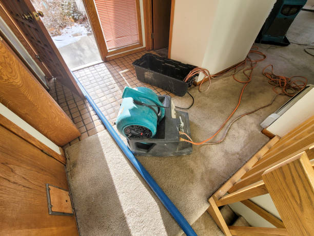 Water damage restoration experts in Newport News, VA