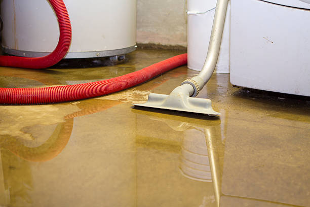 Best Fire Damage Restoration  in Newport News, VA