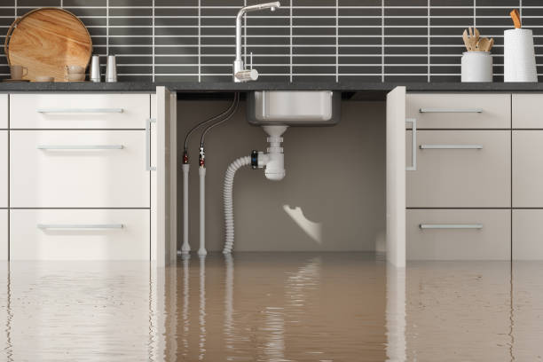 Best Residential water damage restoration  in Newport News, VA