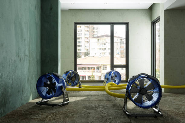 Newport News, VA Water damage restoration Company